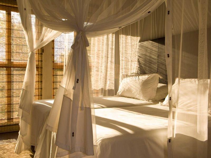 Divava Okavango Resort And Spa Bagani Dış mekan fotoğraf