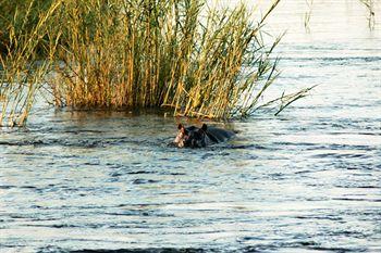 Divava Okavango Resort And Spa Bagani Dış mekan fotoğraf